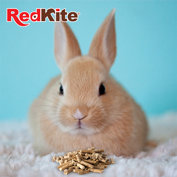REDKITE ALIMENTO PARA CONEJO 1.2KG