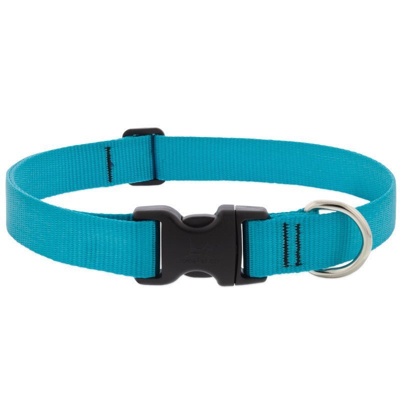 COLLAR LUPINE PARA PERRO CON BROCHE - AQUA