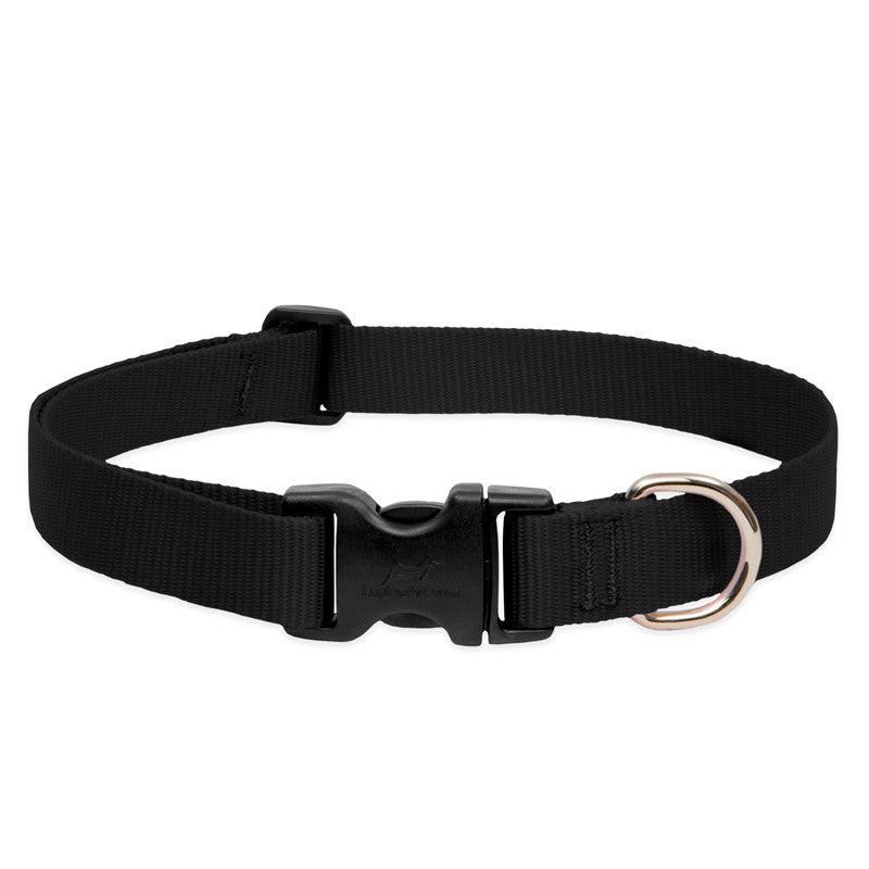 COLLAR LUPINE PARA PERRO CON BROCHE - BLACK