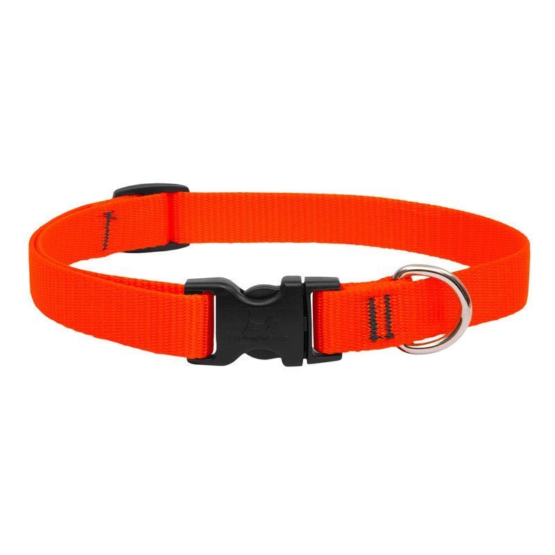 COLLAR LUPINE PARA PERRO CON BROCHE - BLAZE ORANGE