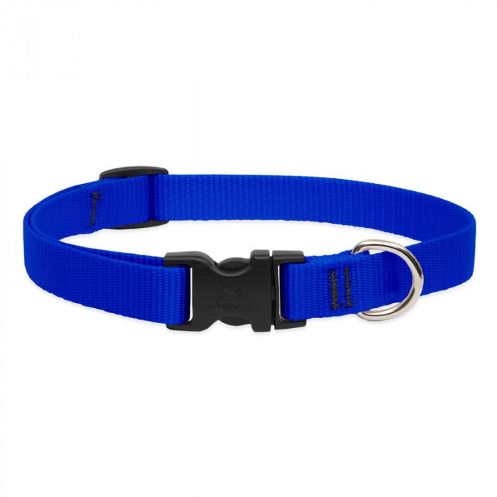COLLAR LUPINE PARA PERRO CON BROCHE - BLUE