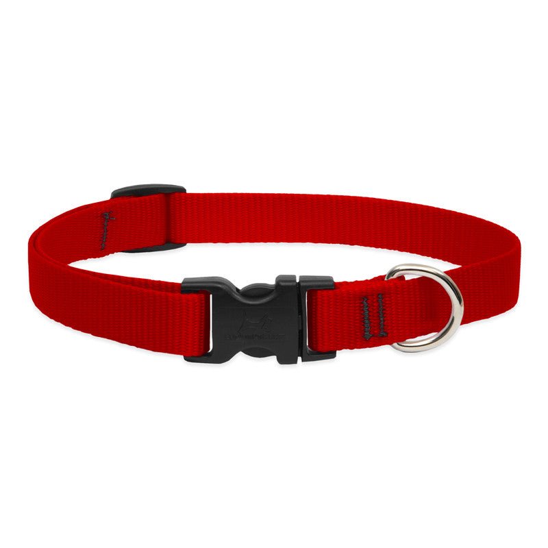 COLLAR LUPINE PARA PERRO CON BROCHE - RED