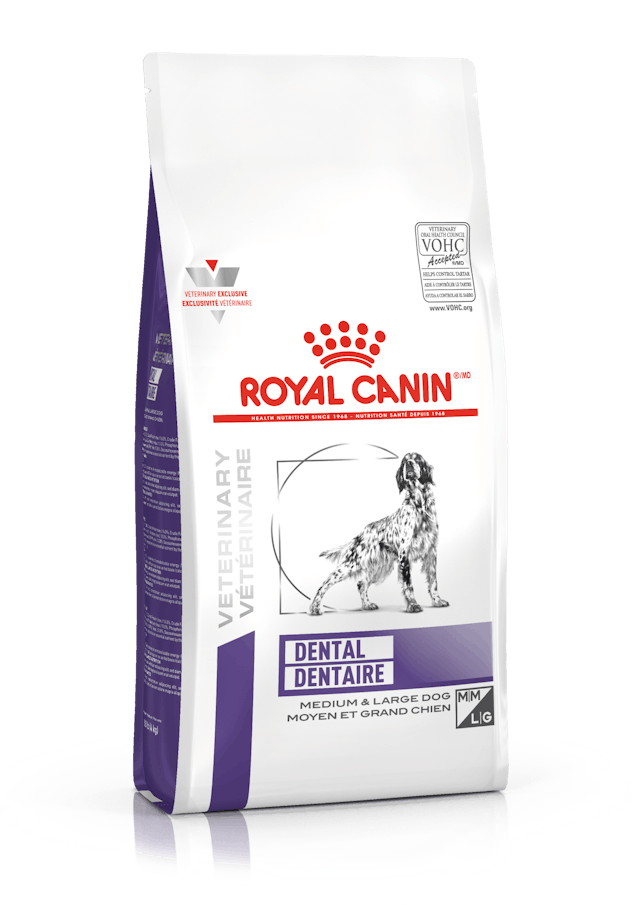 ROYAL CANIN DENTAL