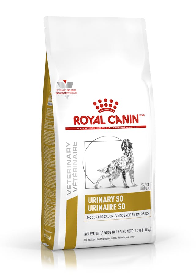 ROYAL CANIN URINARY MODERATE CALORIE
