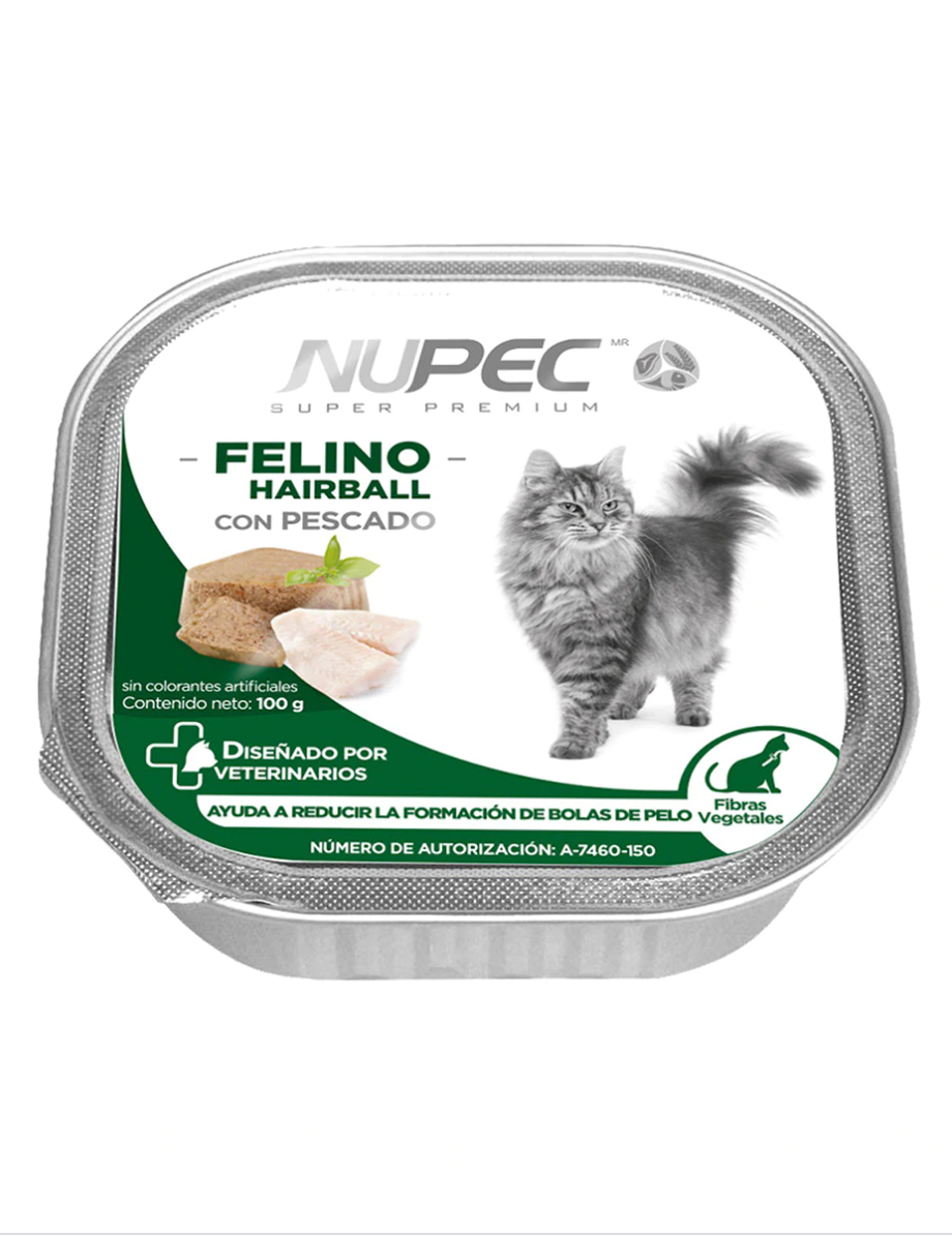 Screen Shot 2021-01-27 at 12.29.56 PM