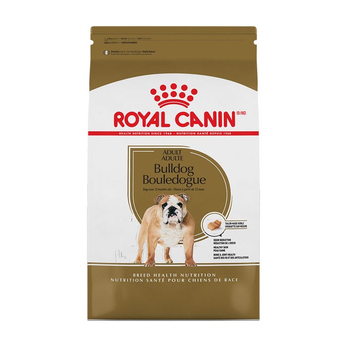 bulldog_adult_03_new