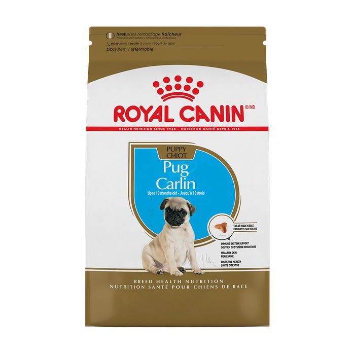 pug_puppy_01_new