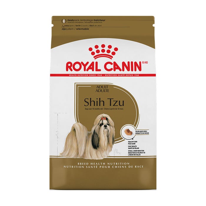 shih_tzu_adult_01_new
