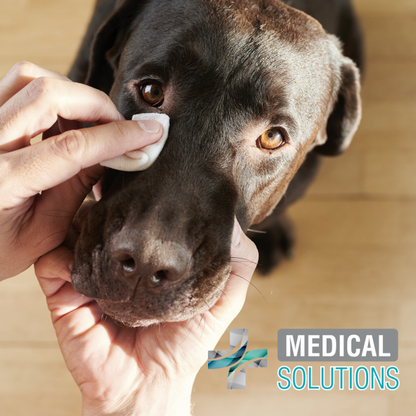 TOALLITAS LIMPIADORAS P/OJOS 80PZAS