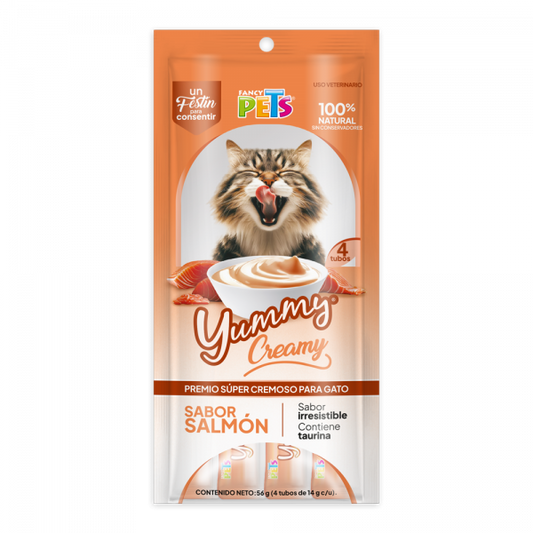YUMMY CREAMY P/GATO SALMON