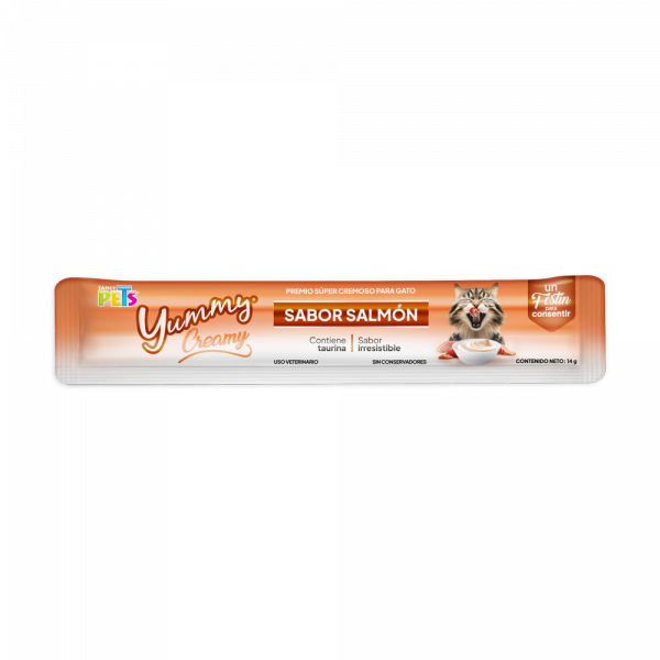 YUMMY CREAMY P/GATO SALMON