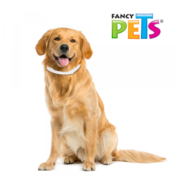 MEDICAL SOLUTIONS COLLAR ANTIPULGAS PARA PERRO RAZAS GRANDES