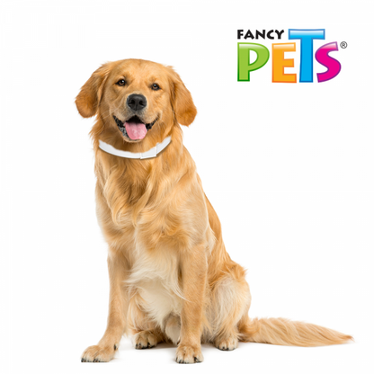 MEDICAL SOLUTIONS COLLAR ANTIPULGAS PARA PERRO RAZAS GRANDES