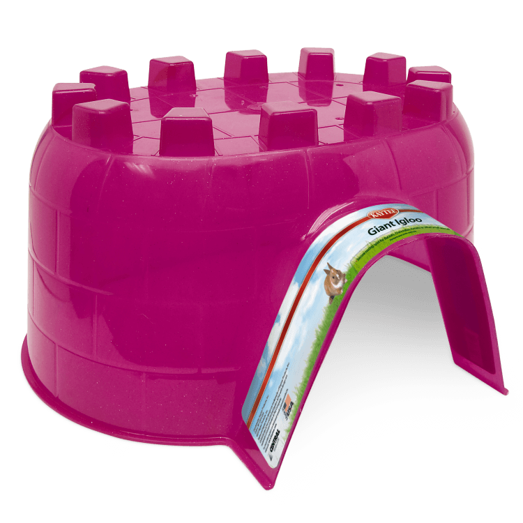 60407_GiantIgloo_Pink_pk-png