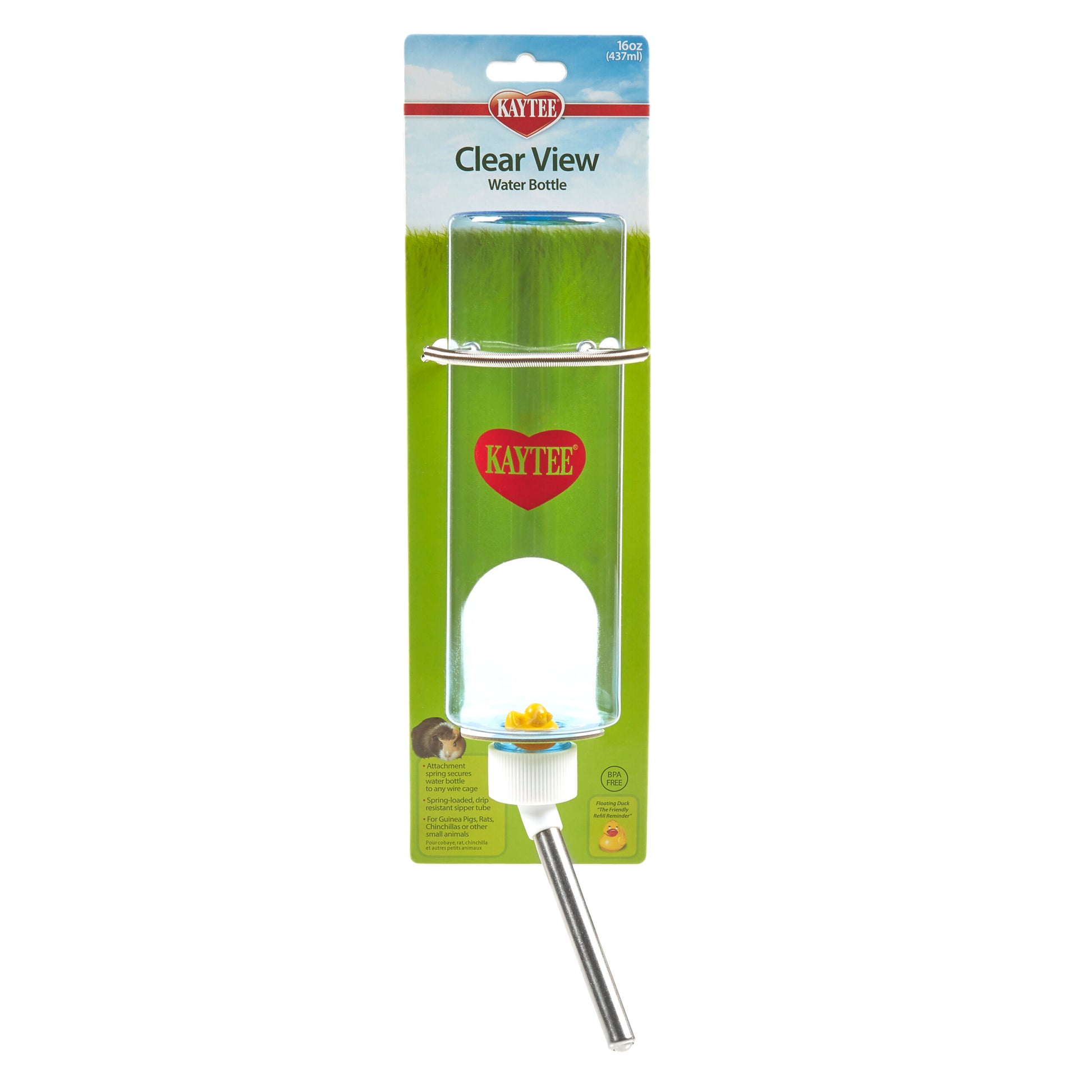 61972_ClearWaterBottle_16oz_pk-png