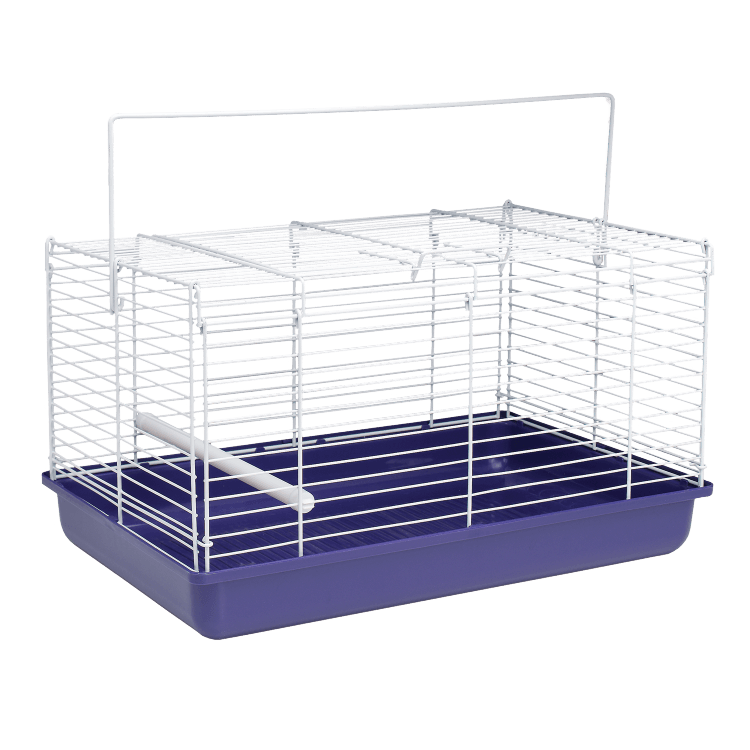 62315_TakeMeWithCarrier_lg_pd-png