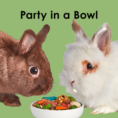 ALIMENTO PARA CONEJO KAYTEE (Fiesta)
