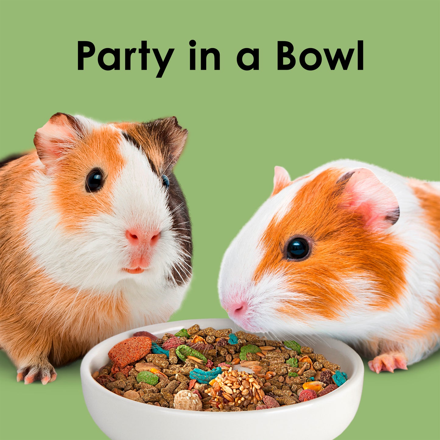 ALIMENTO PARA CUYO KAYTEE (Fiesta)