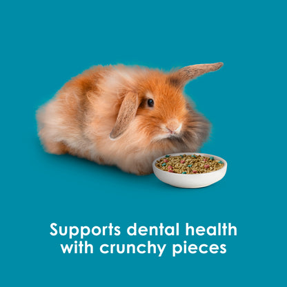 ALIMENTO PARA CONEJO ADULTO KAYTEE (Pro health)