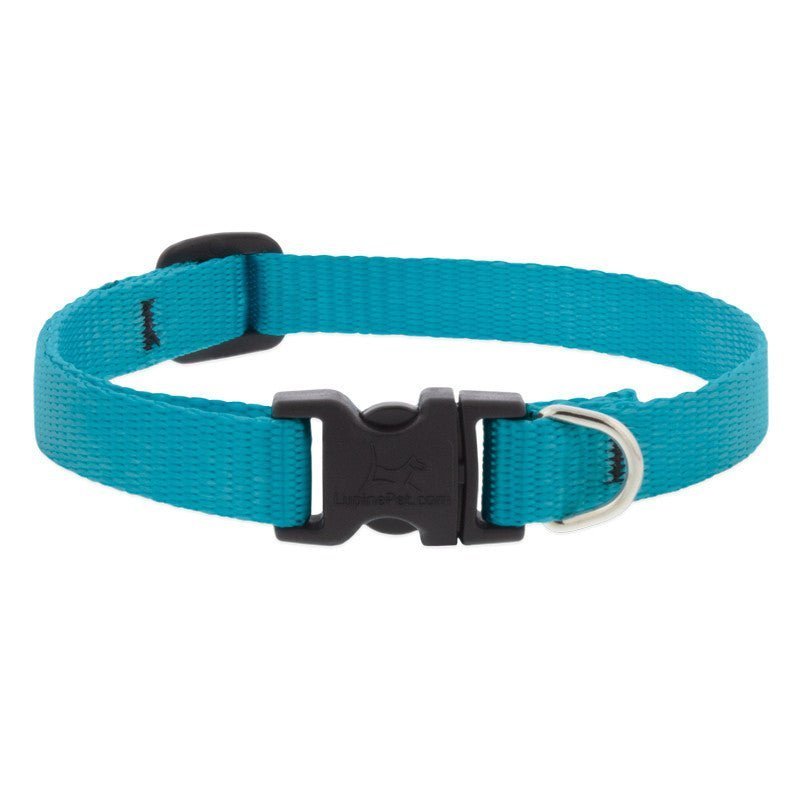 COLLAR LUPINE PARA PERRO CON BROCHE - AQUA