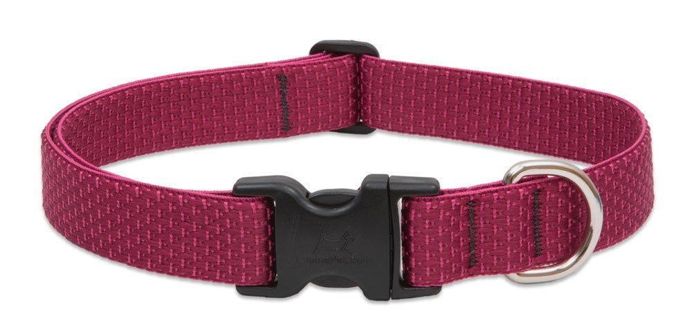 COLLAR LUPINE PARA PERRO CON BROCHE - BERRY