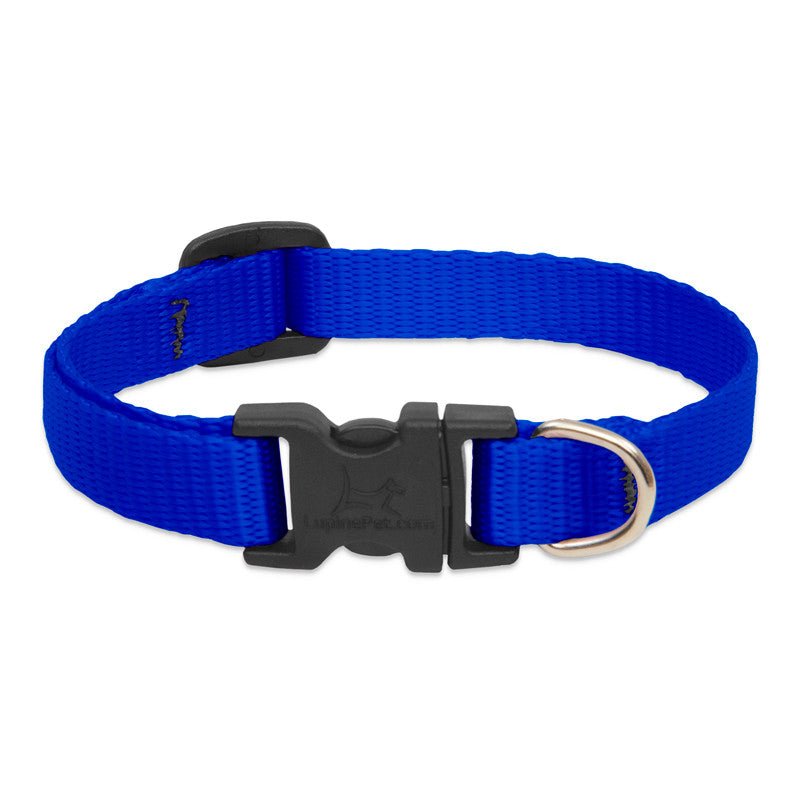 COLLAR LUPINE PARA PERRO CON BROCHE - BLUE