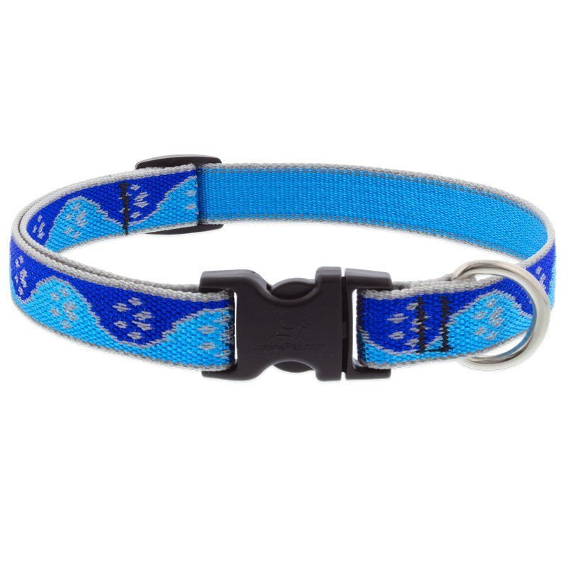Collar LUPINE para PERRO con BROCHE - BLUE PAWS