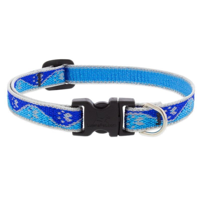 Collar LUPINE para PERRO con BROCHE - BLUE PAWS