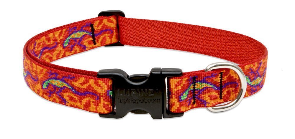 COLLAR LUPINE PARA PERRO CON BROCHE - GO GECKO