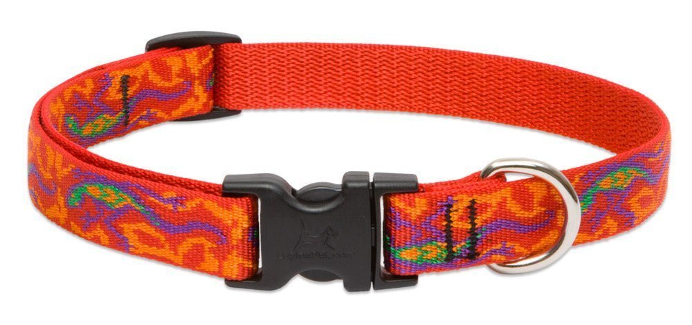 COLLAR LUPINE PARA PERRO CON BROCHE - GO GECKO