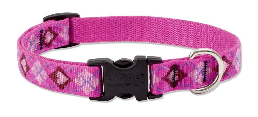 COLLAR LUPINE PARA PERRO CON BROCHE - PUPPY LOVE