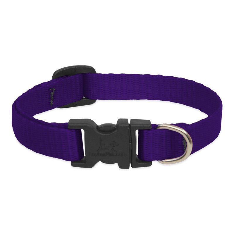COLLAR LUPINE PARA PERRO CON BROCHE - PURPLE
