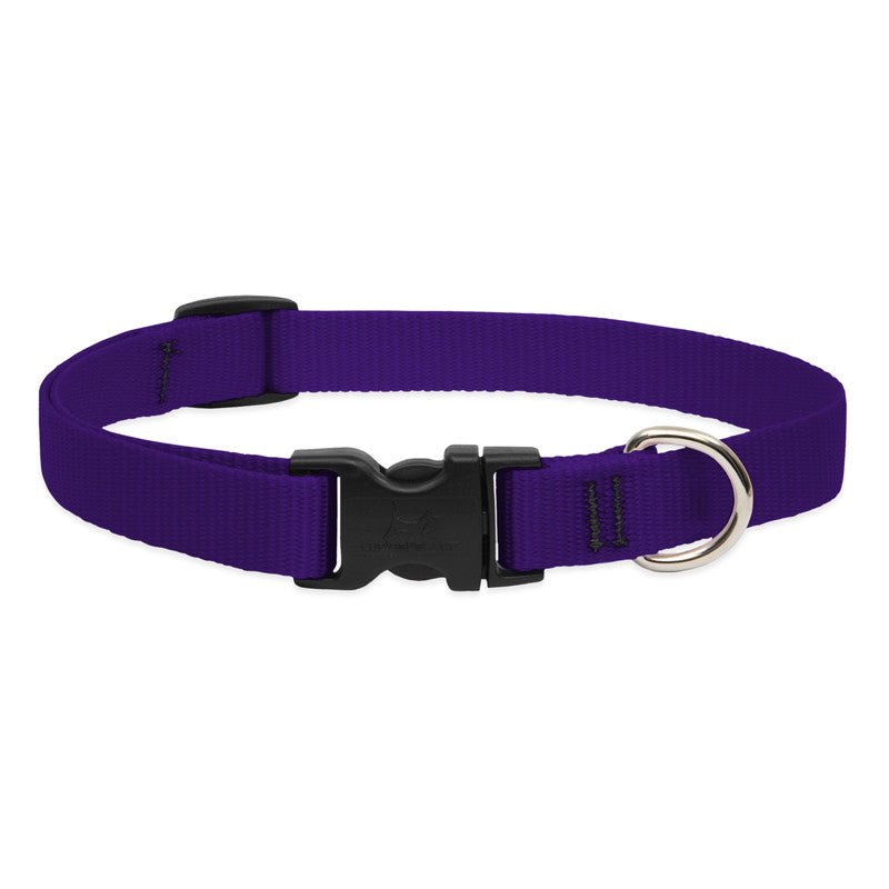 COLLAR LUPINE PARA PERRO CON BROCHE - PURPLE