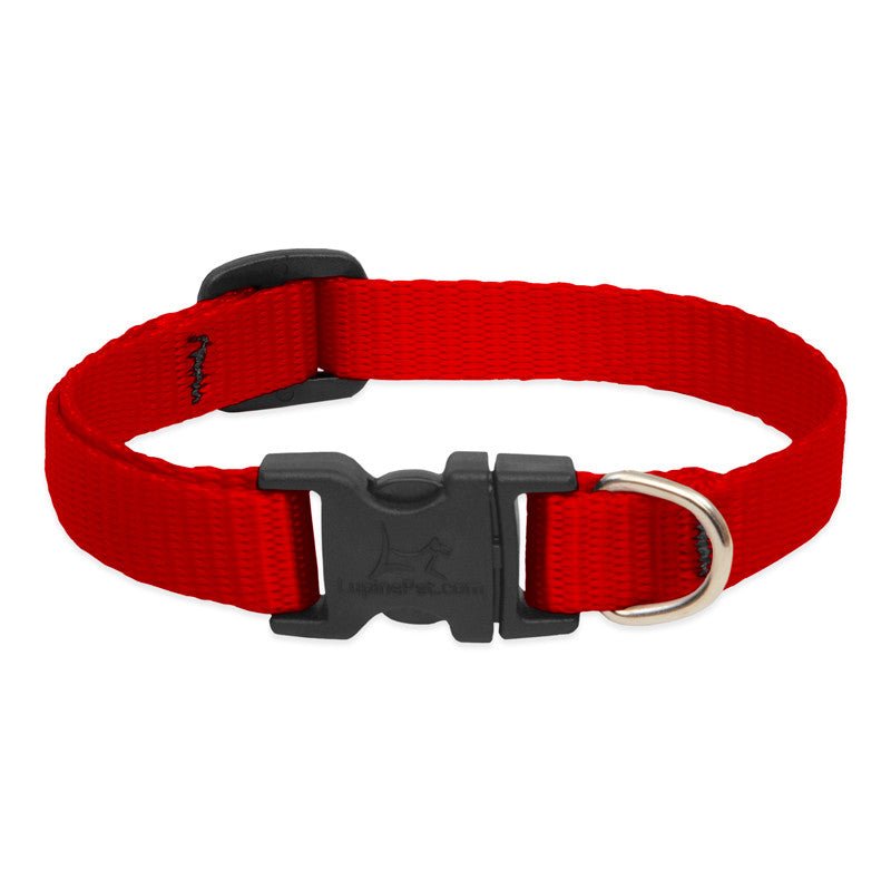 COLLAR LUPINE PARA PERRO CON BROCHE - RED