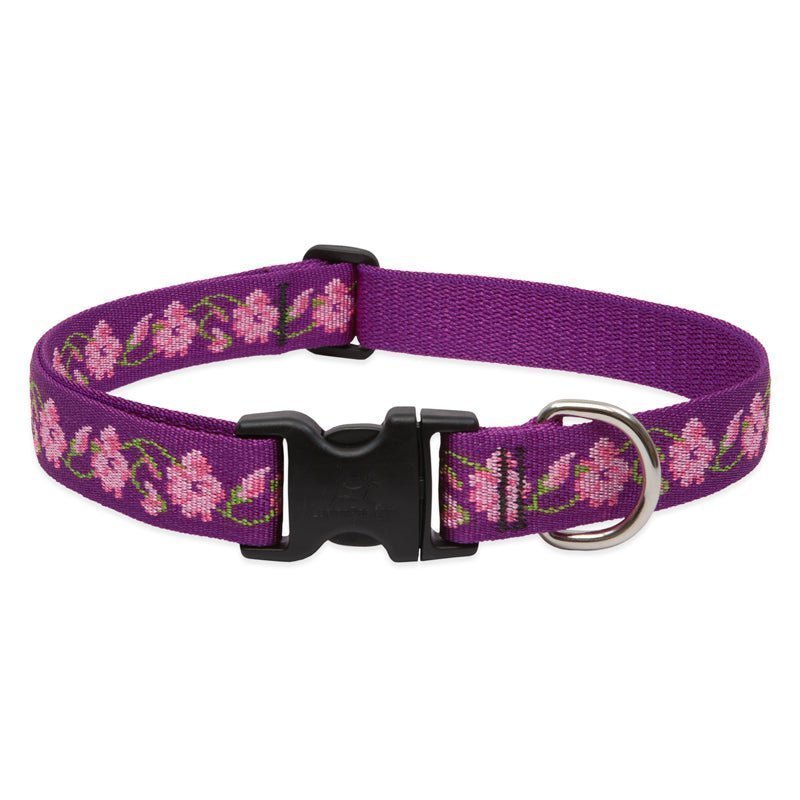 COLLAR LUPINE PARA PERRO CON BROCHE - ROSE GARDEN