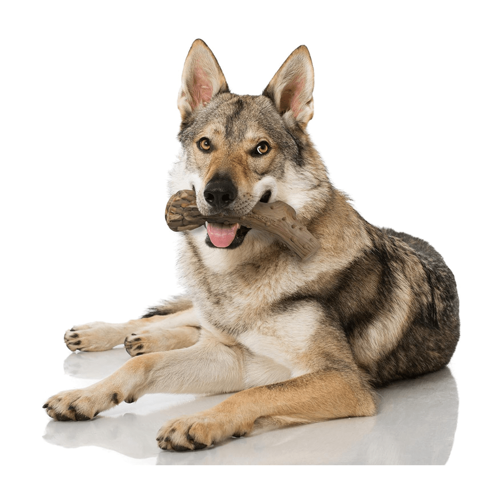 NYLABONE POWER CHEW ASTAS DE VENADO