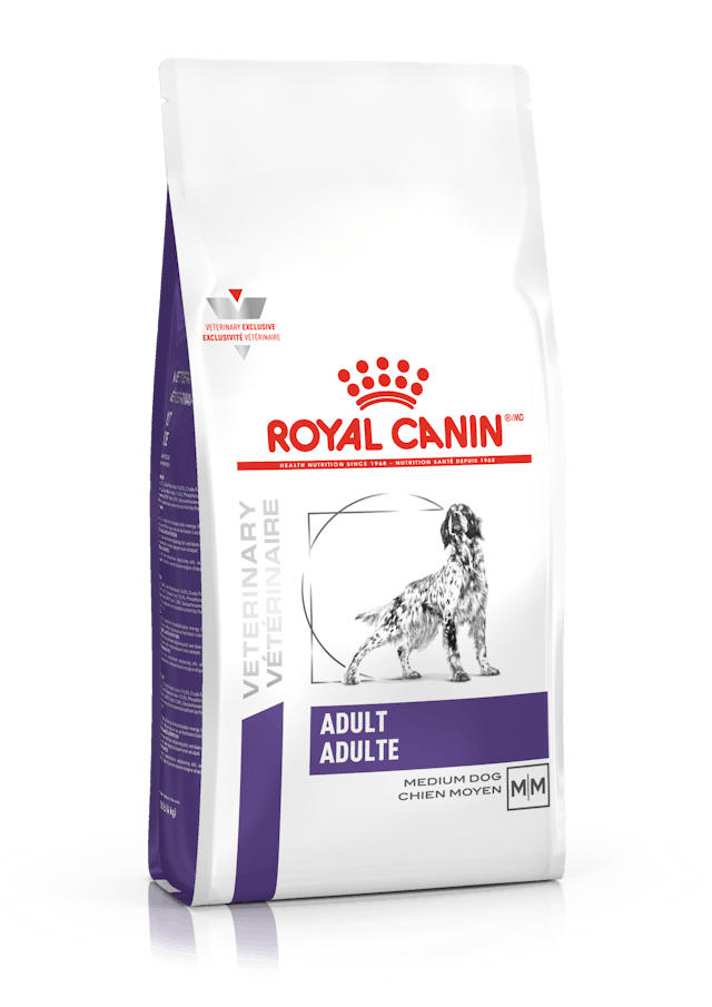ROYAL CANIN ADULT