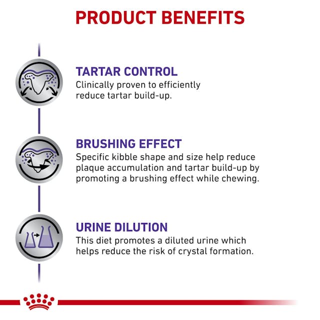 ROYAL CANIN DENTAL SMALL