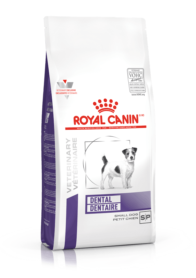 ROYAL CANIN DENTAL SMALL