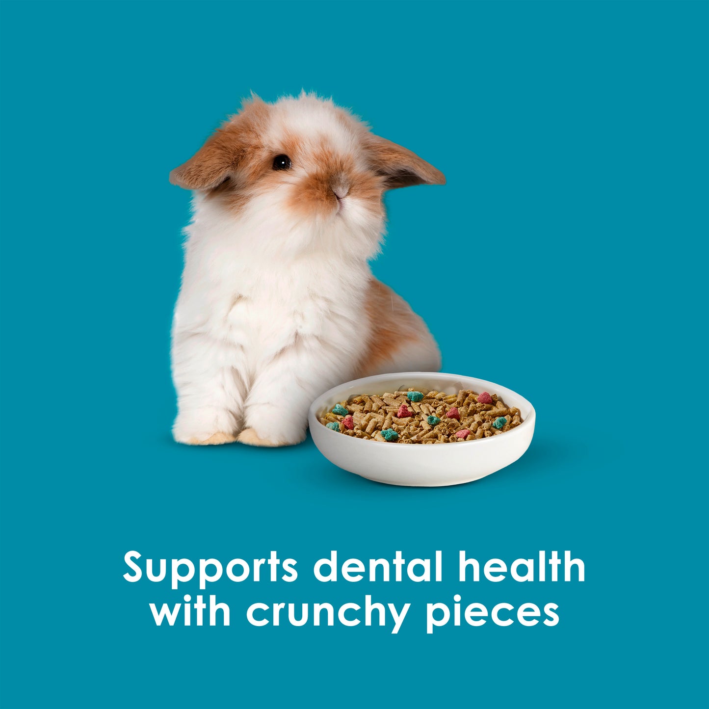 ALIMENTO PARA CONEJO JUVENIL KAYTEE 1.36KG  (Pro health)