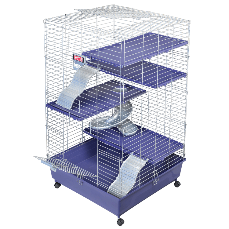 50248_KT_HomePlus_Ferret_pd-png