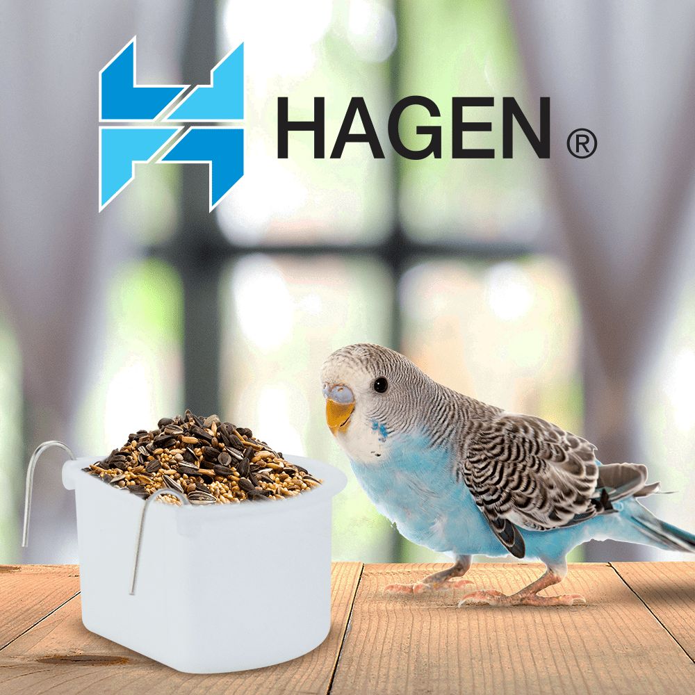 BEBEDERO COMEDERO GDE