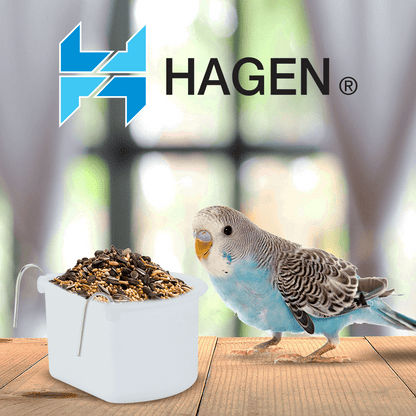 BEBEDERO COMEDERO GDE