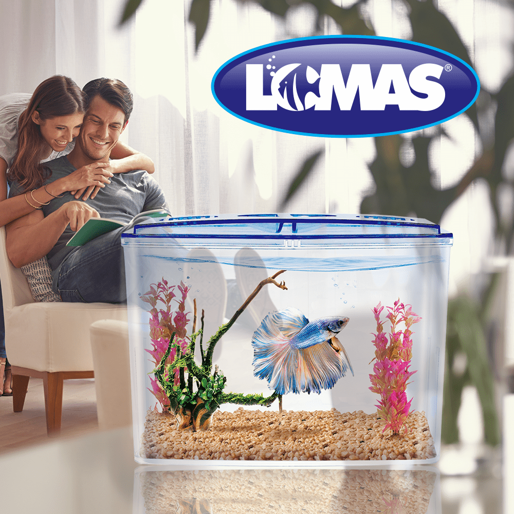 BETERA DOBLE DE PLASTICO 1.5LTS