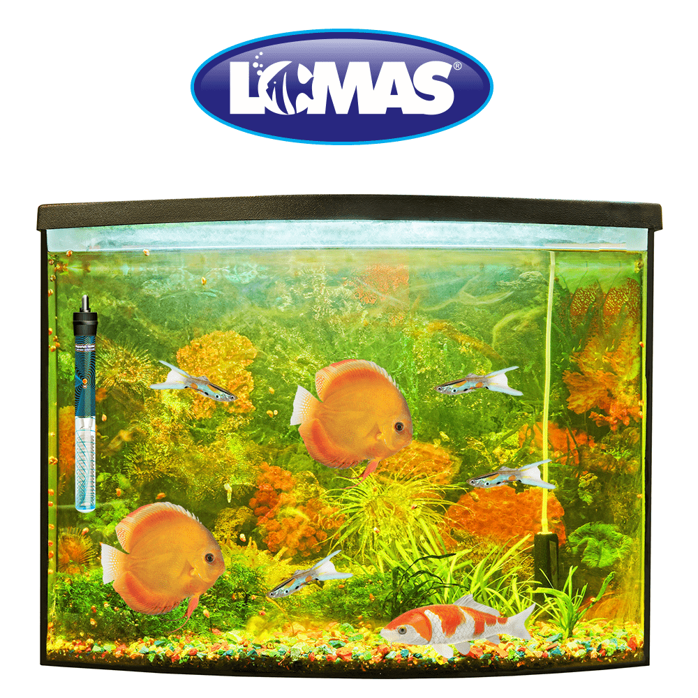 CALENTADOR SUMERGIBLE C/TERMOSTATO