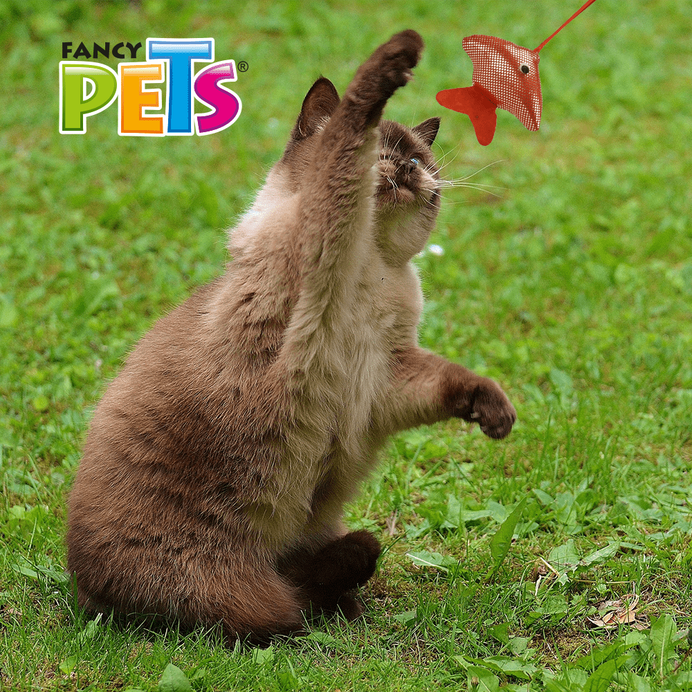 CAÑA DE PESCAR 30 CM