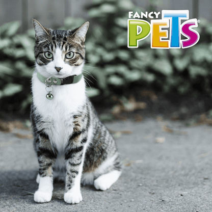 COLLAR ELASTICO CON CASCABEL PARA GATO