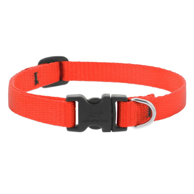 COLLAR LUPINE PARA GATO CON CASCABEL - BLAZE ORANGE