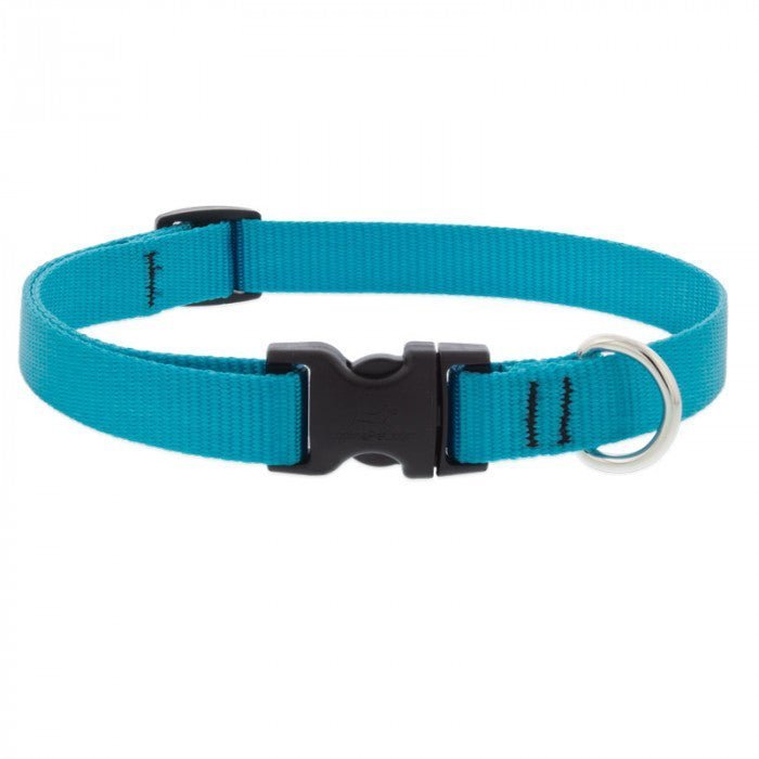 COLLAR LUPINE PARA PERRO CON BROCHE - AQUA
