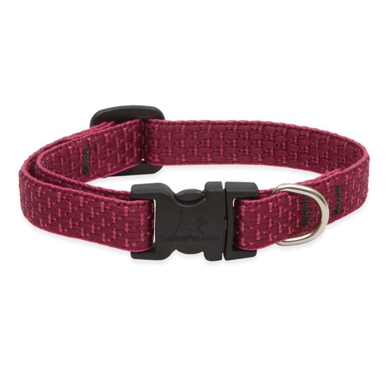 COLLAR LUPINE PARA PERRO CON BROCHE - BERRY